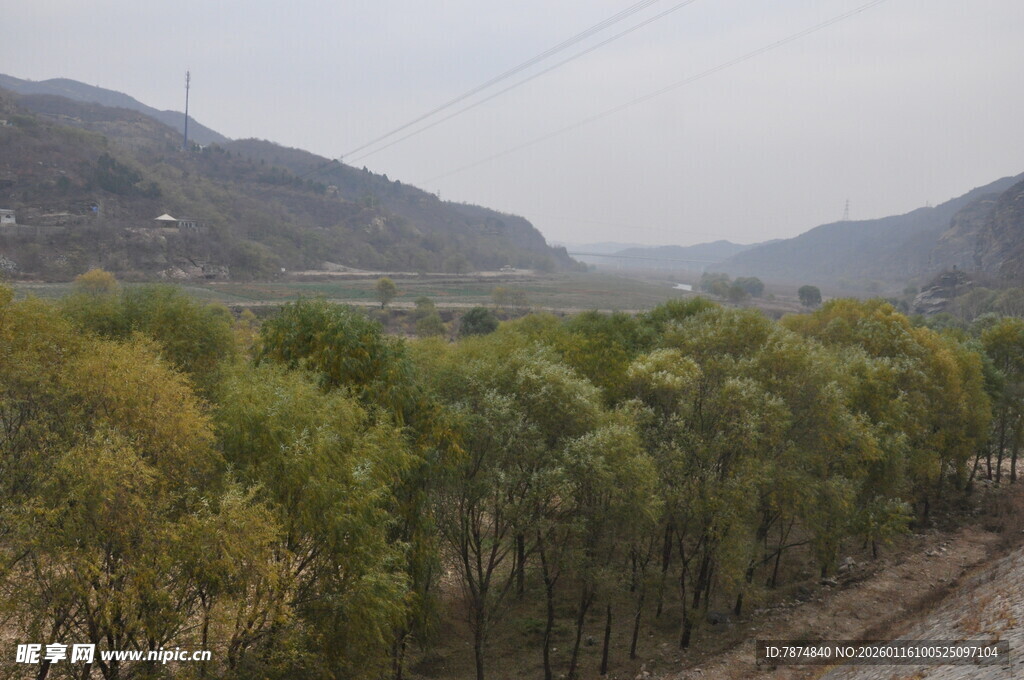 山间葱郁树林风景图