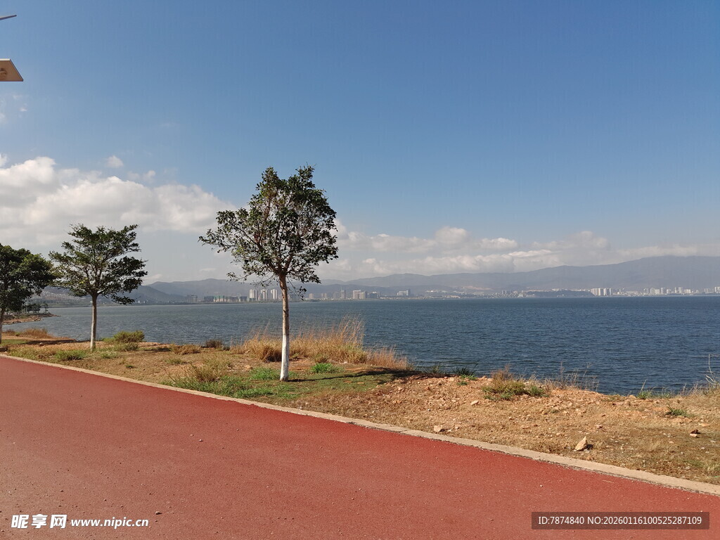 海边红径旁的树木与蓝天