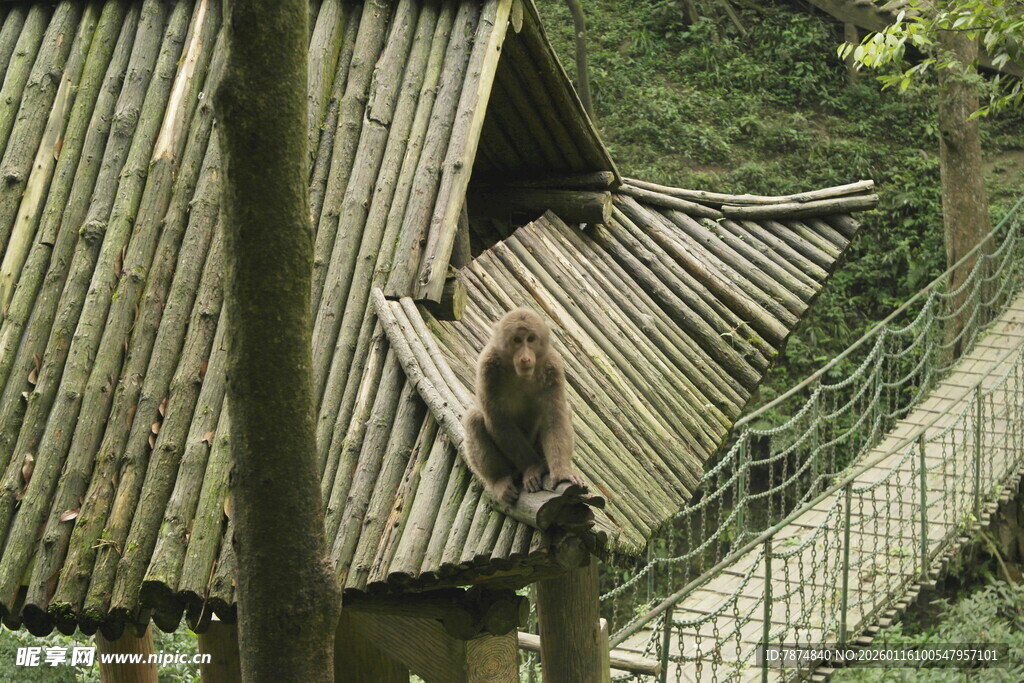 山间木质小屋与蜿蜒栈道
