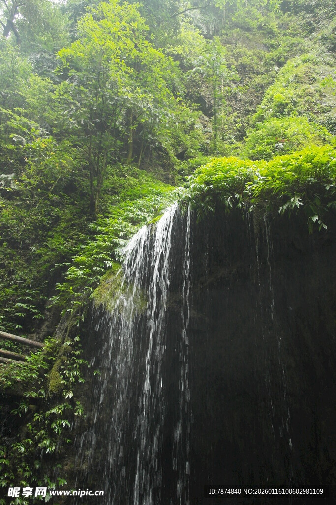 山间瀑布 绿意盎然