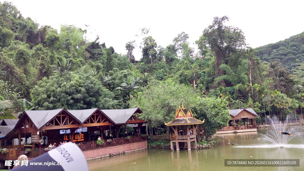 河畔木屋 山林中的静谧景致