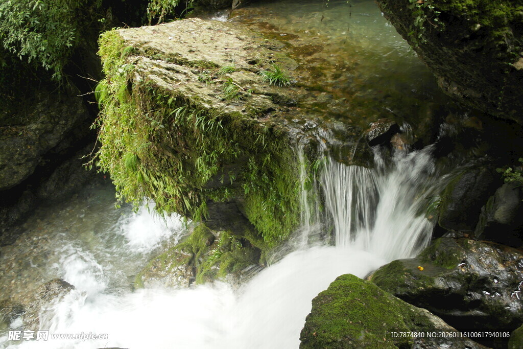 山间清泉绕覆苔岩石