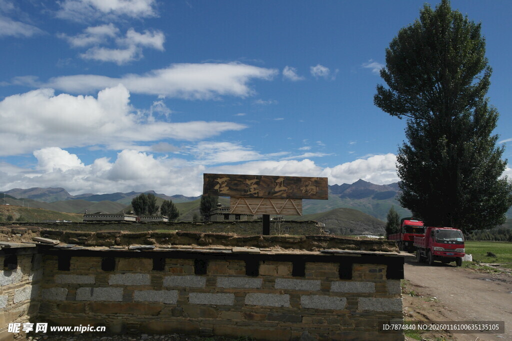 乡村路边的建筑与绿树