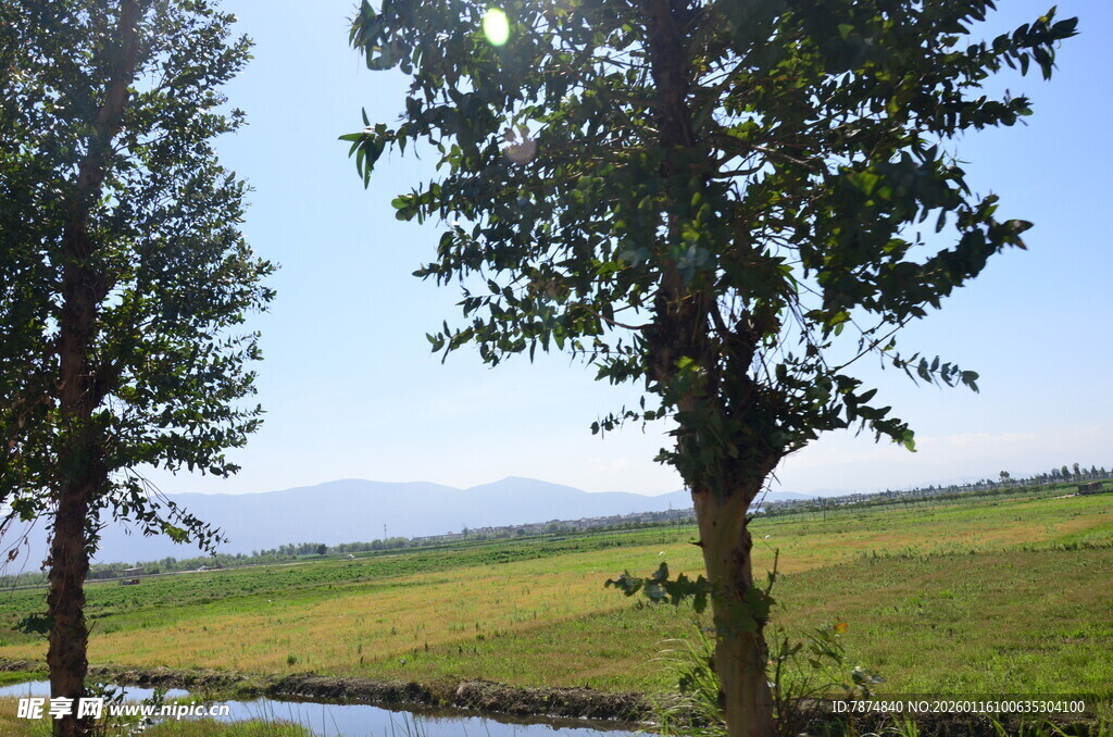 田野绿树间的清新风光