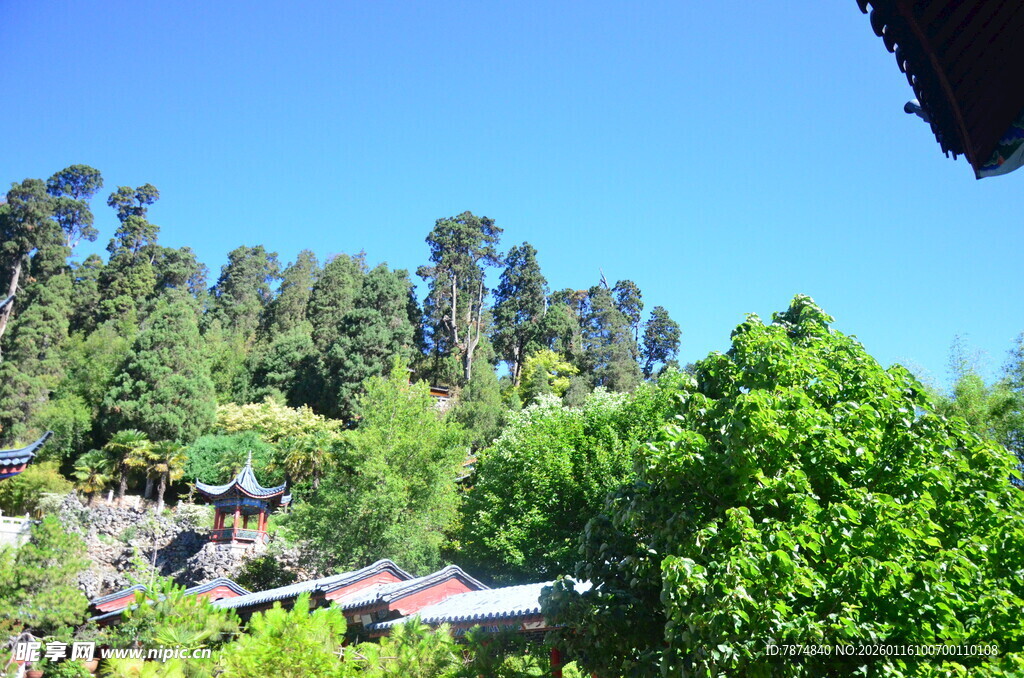 山林间的绿意小屋