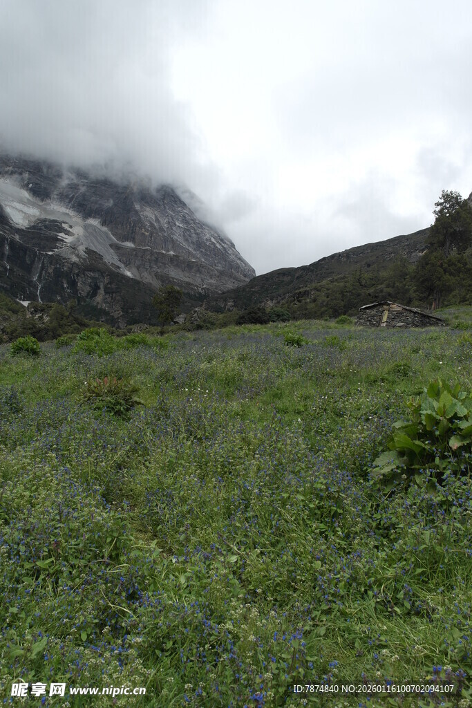 山间绿野 云雾缭绕之景