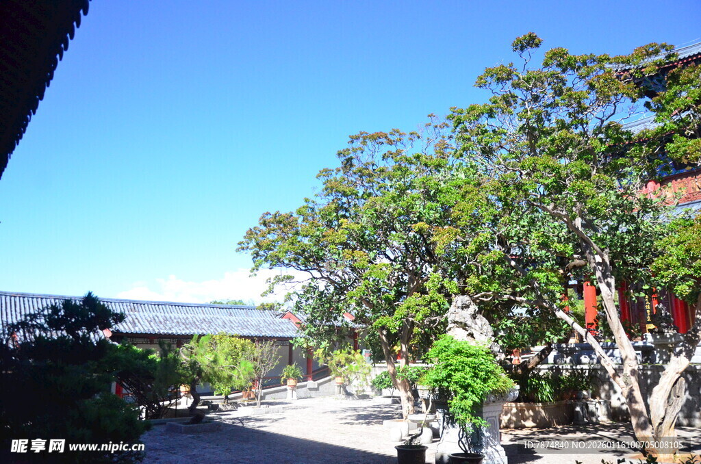 海边绿树成荫的美丽景致