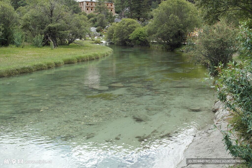 清澈溪流旁的绿意景致