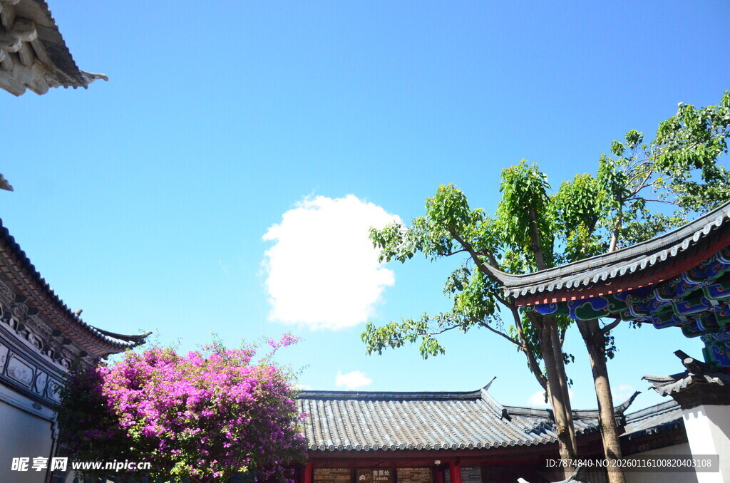 古建庭院中的蓝天繁花