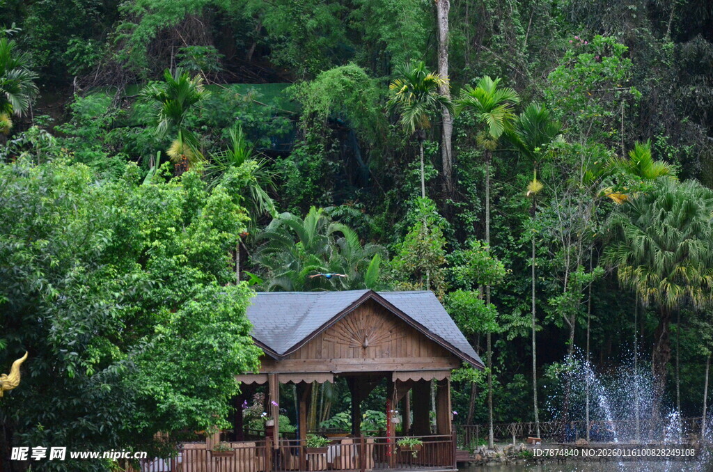 山林中的静谧木质小屋