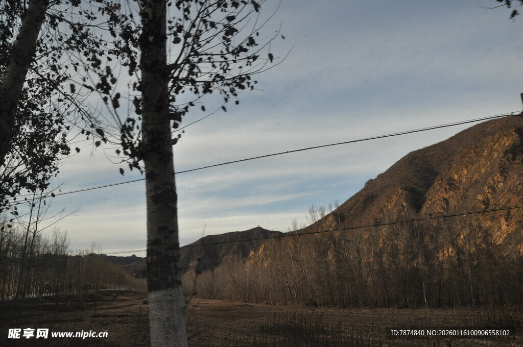 黄昏下的山野树木景观