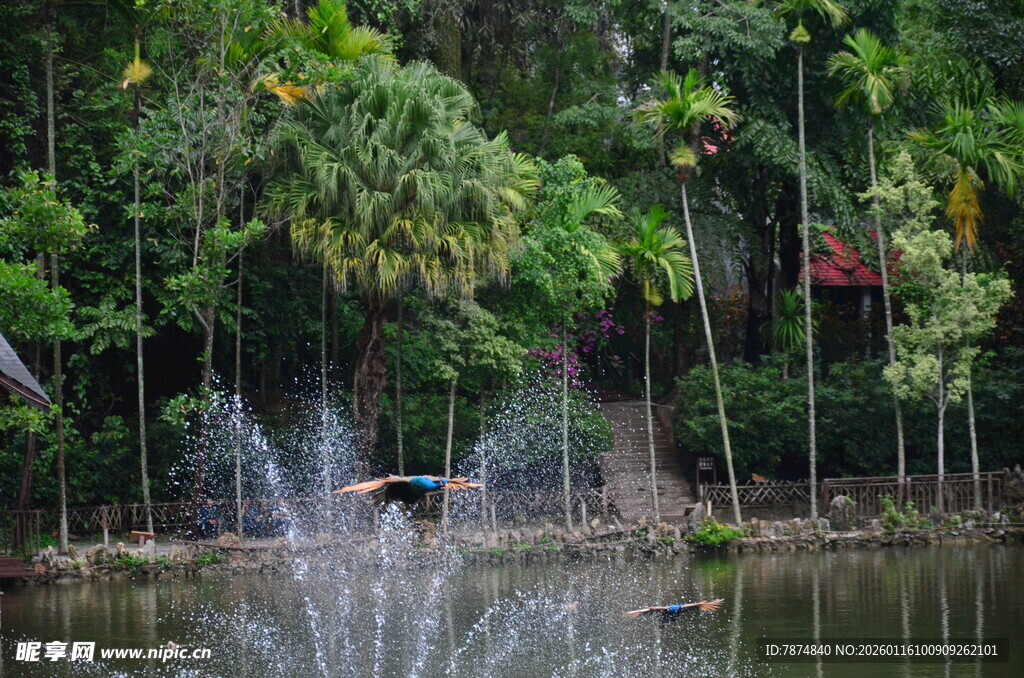 湖畔喷泉旁的葱郁绿植