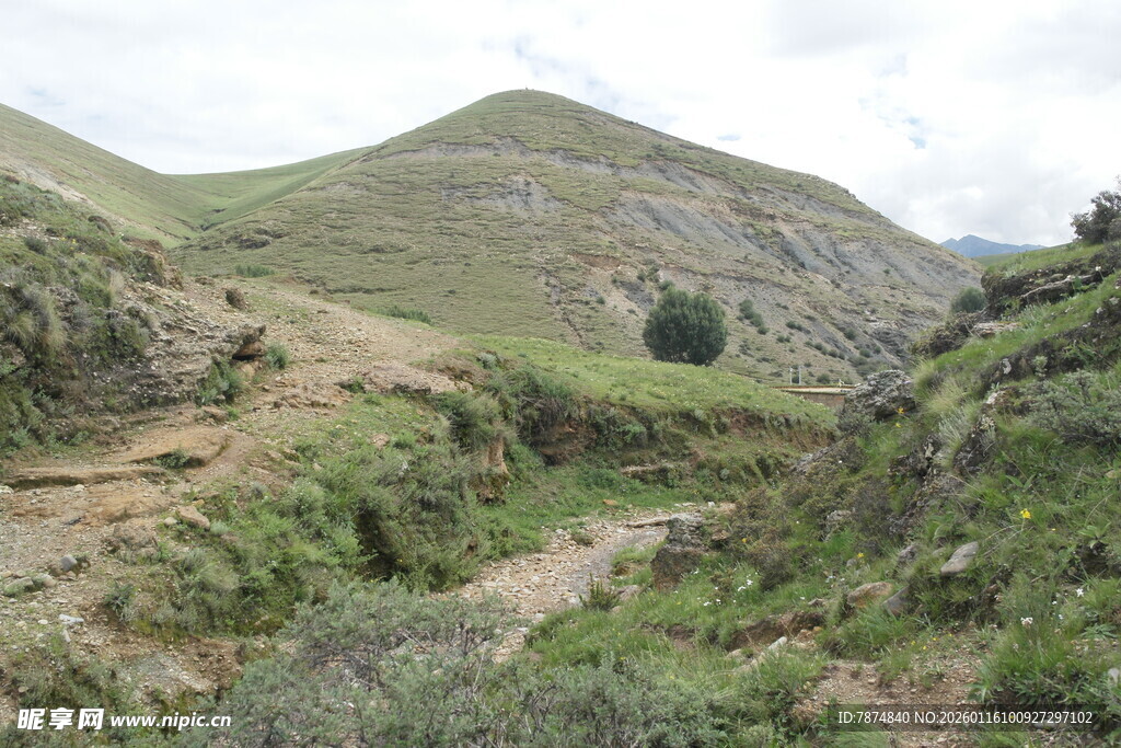 山间绿意盎然的蜿蜒小径