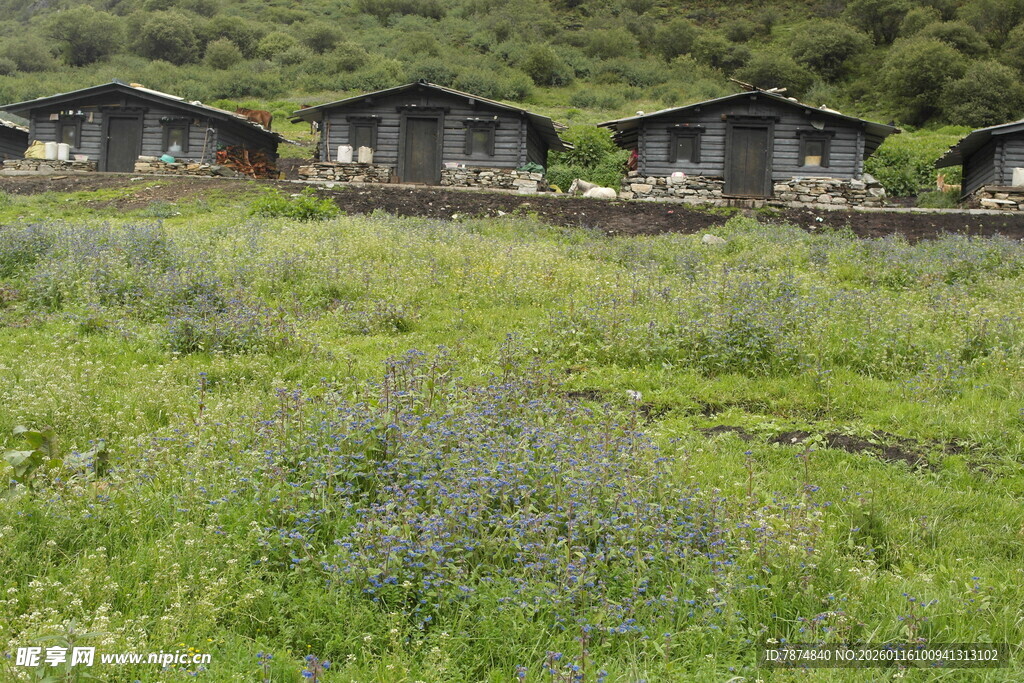 山间草地旁的小屋群落