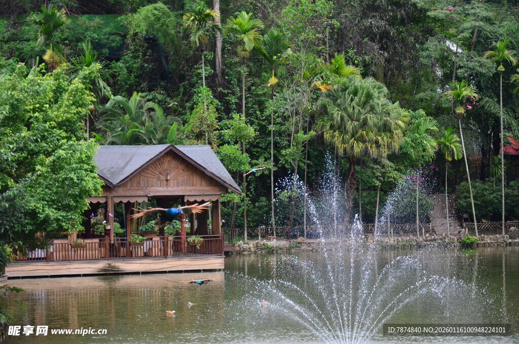 湖畔小屋旁的喷泉景观
