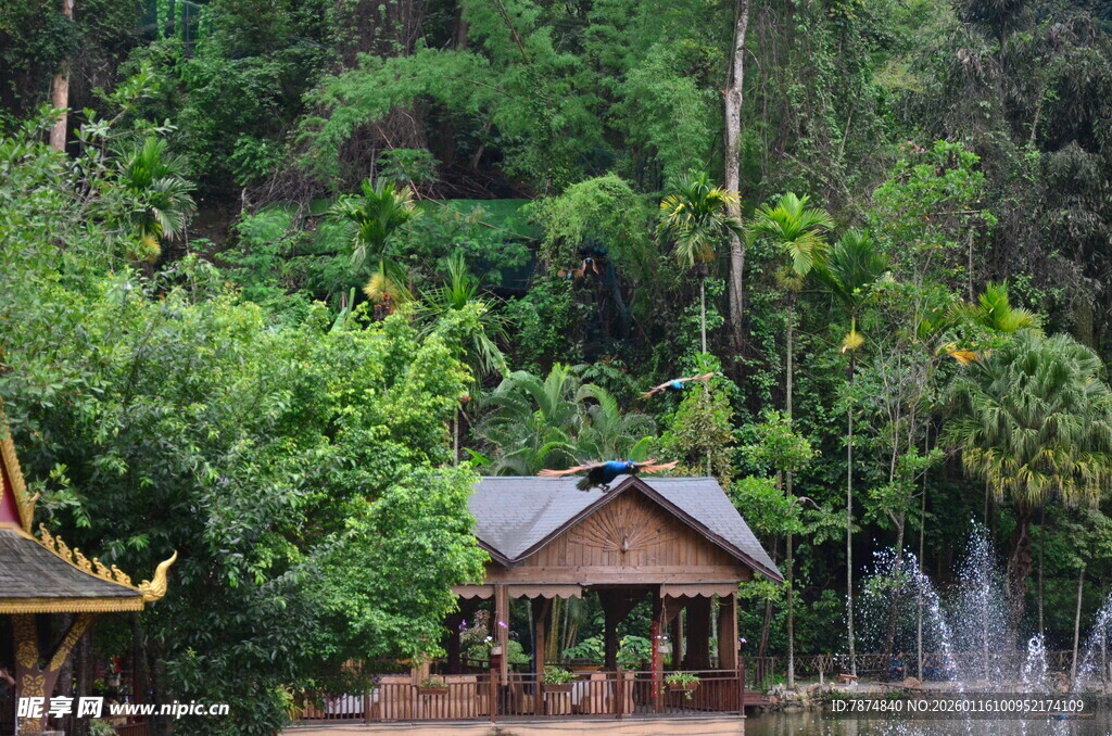 山林中的精致凉亭与喷泉
