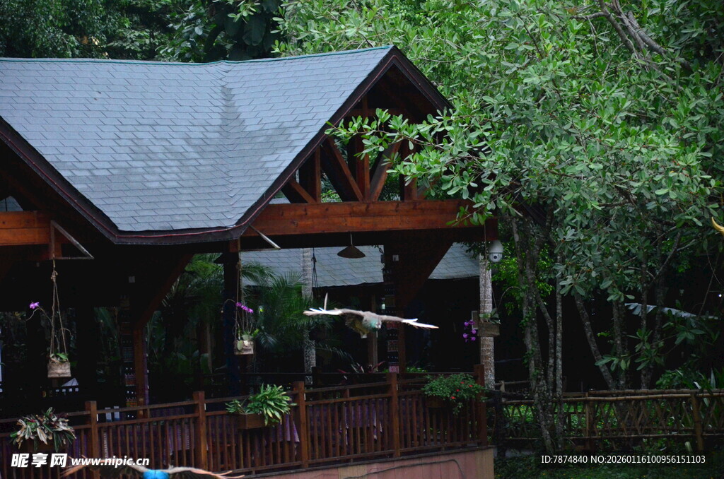 林间木屋 静谧自然之景