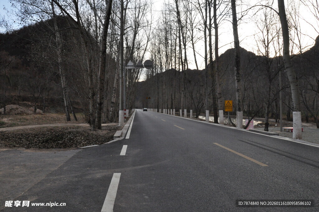 冬日空旷林间道路