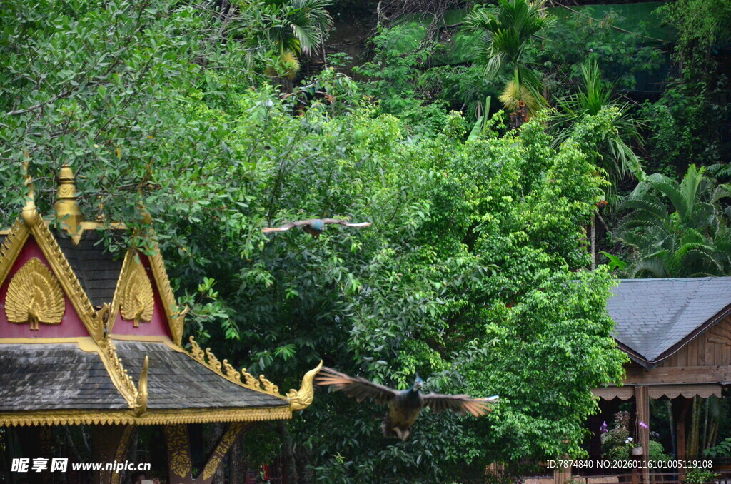 林中古建 尽显自然古韵