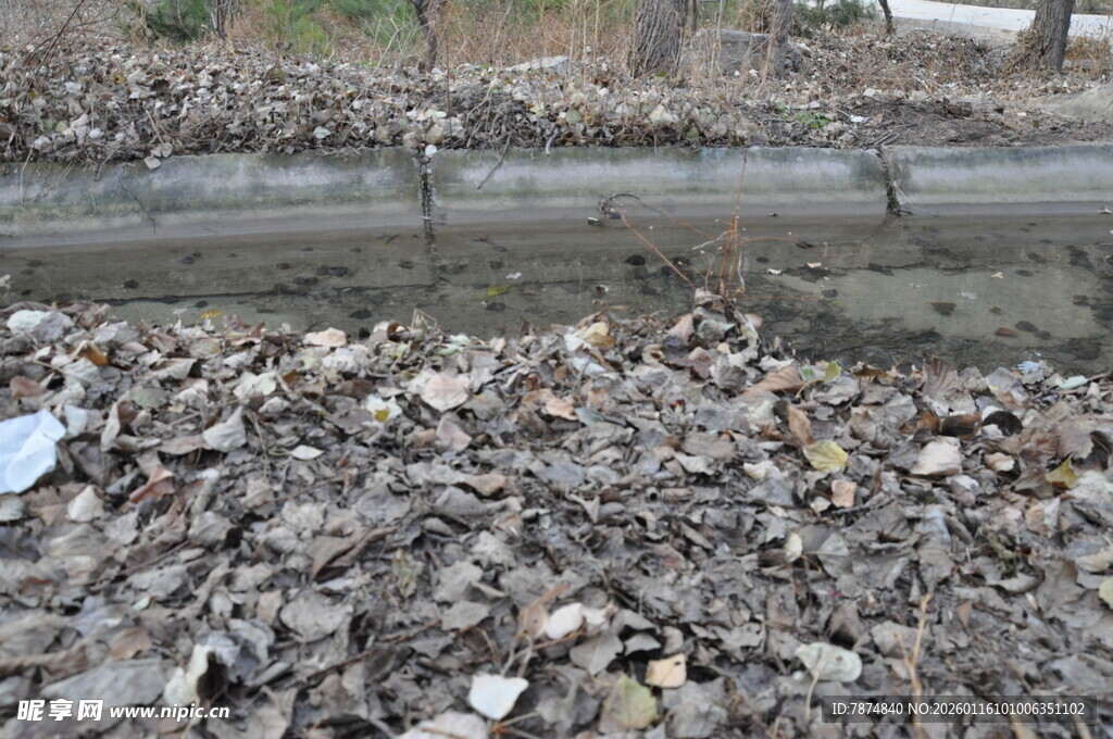 河边堆积的枯叶与杂物