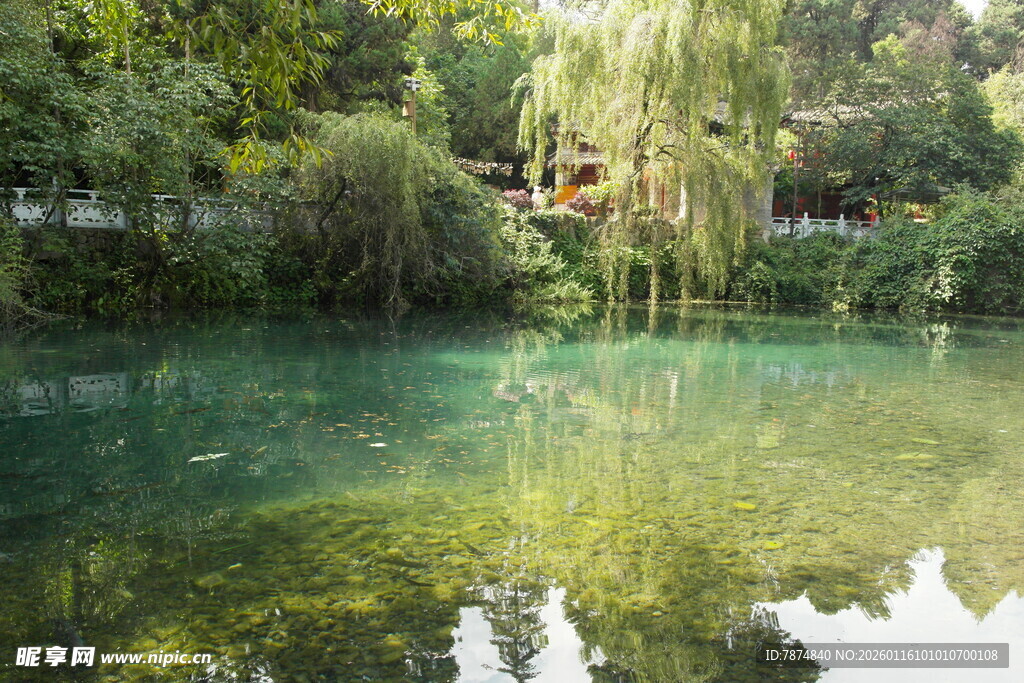 清幽湖水映葱郁林木