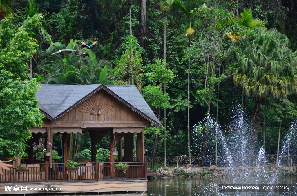 湖畔木屋旁的喷泉美景