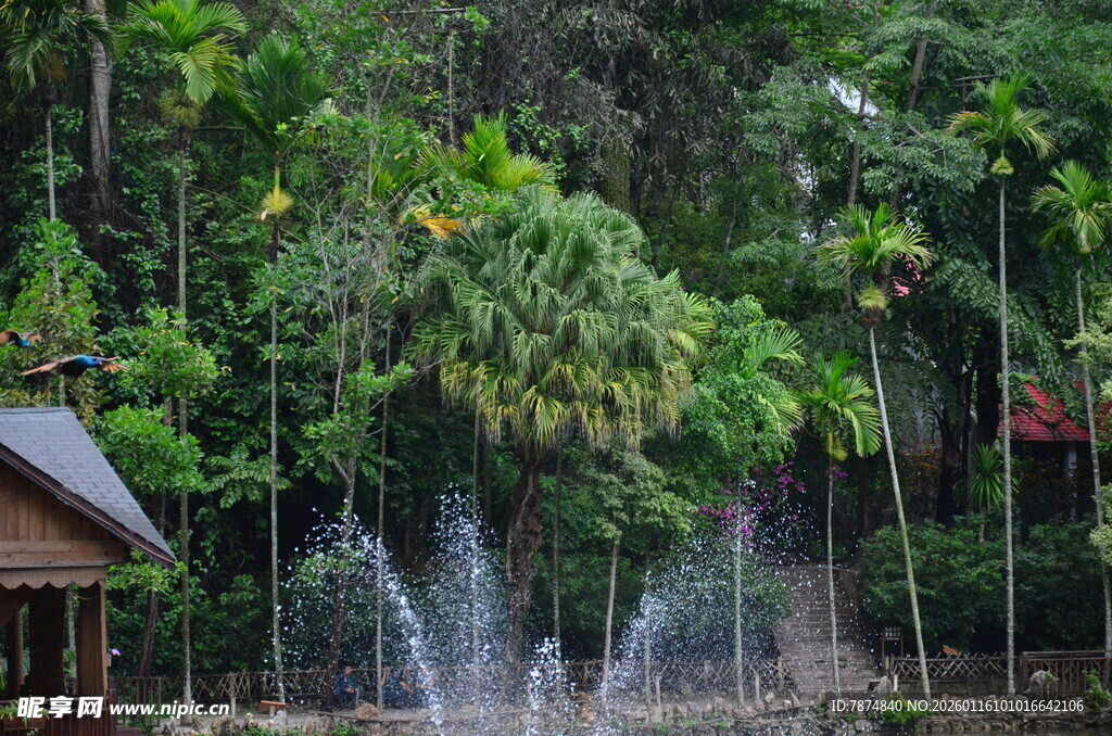 林间喷泉小屋的自然景致