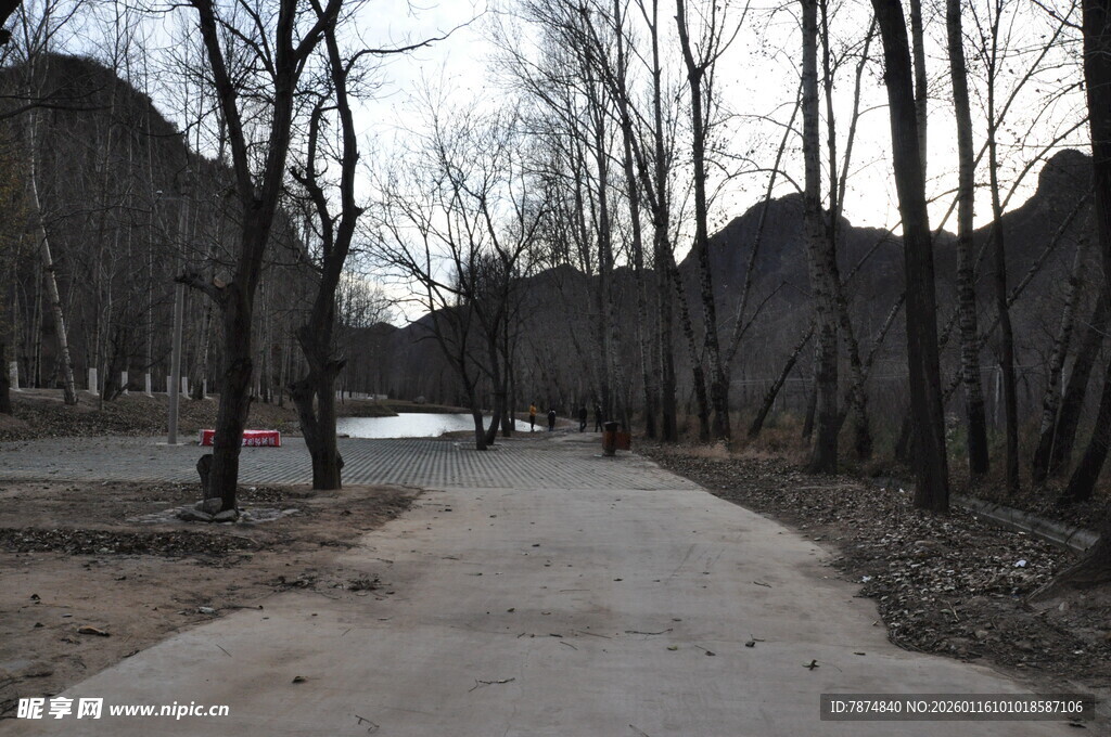 冬日林间空旷小路