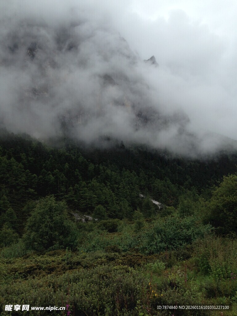 云雾缭绕的山林美景