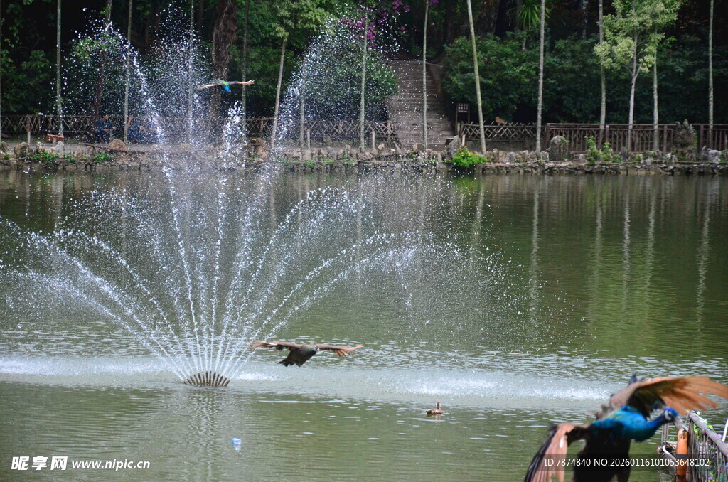 湖畔喷泉旁的休闲一幕