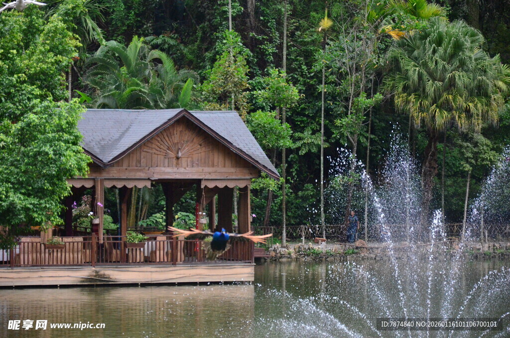 湖畔木屋旁的喷泉景致