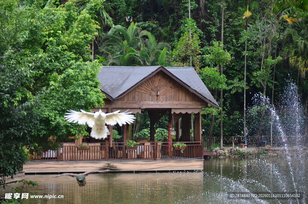 湖畔木屋 自然中的静谧景致