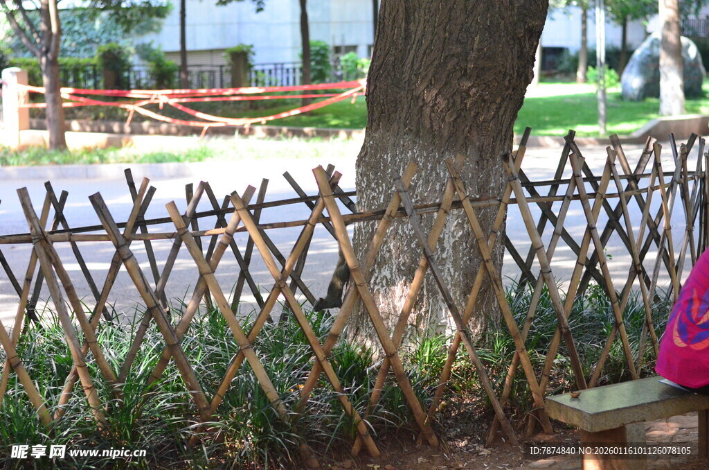 竹制树围 公园别致小景