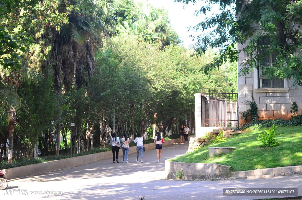 林荫小道上的休闲人群