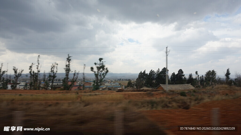 阴天田野中的树木景观