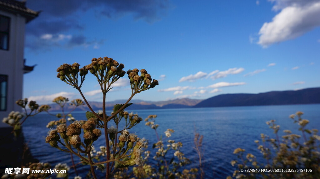 湖畔美景 屋旁繁花映蓝天