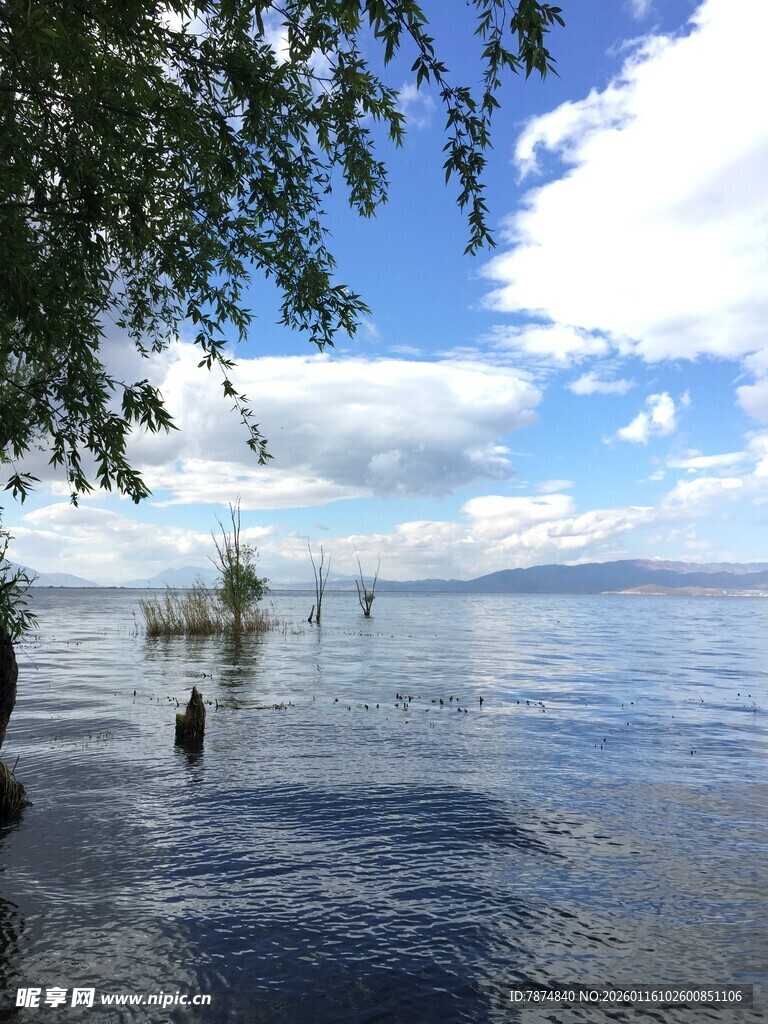 湖畔美景 蓝天碧水绿树