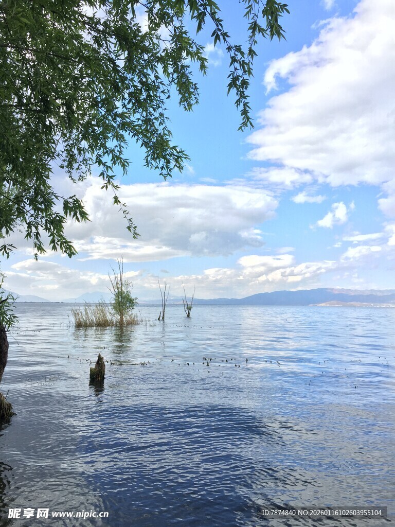 湖畔风光 蓝天碧水绿树