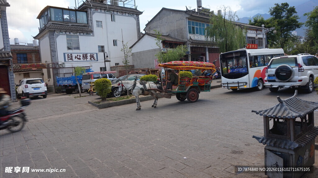 乡村院落停放车辆与花草