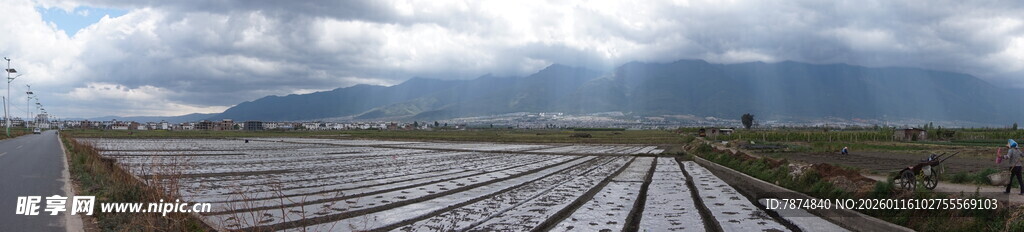 铁轨延伸向远方风景