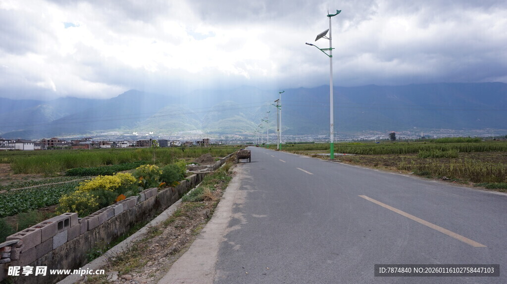 乡村公路边的田园风光