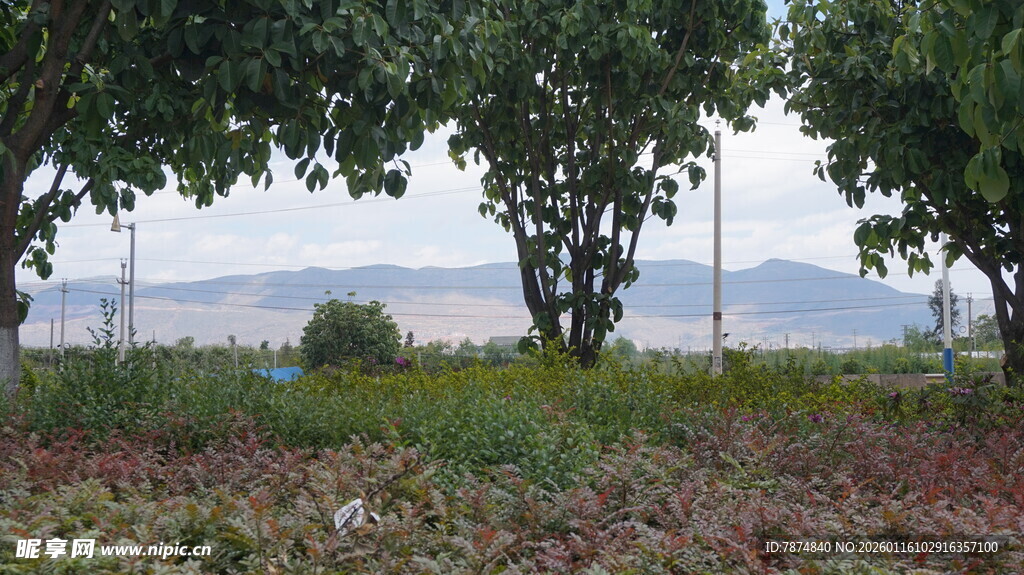 田野绿树远山自然景致