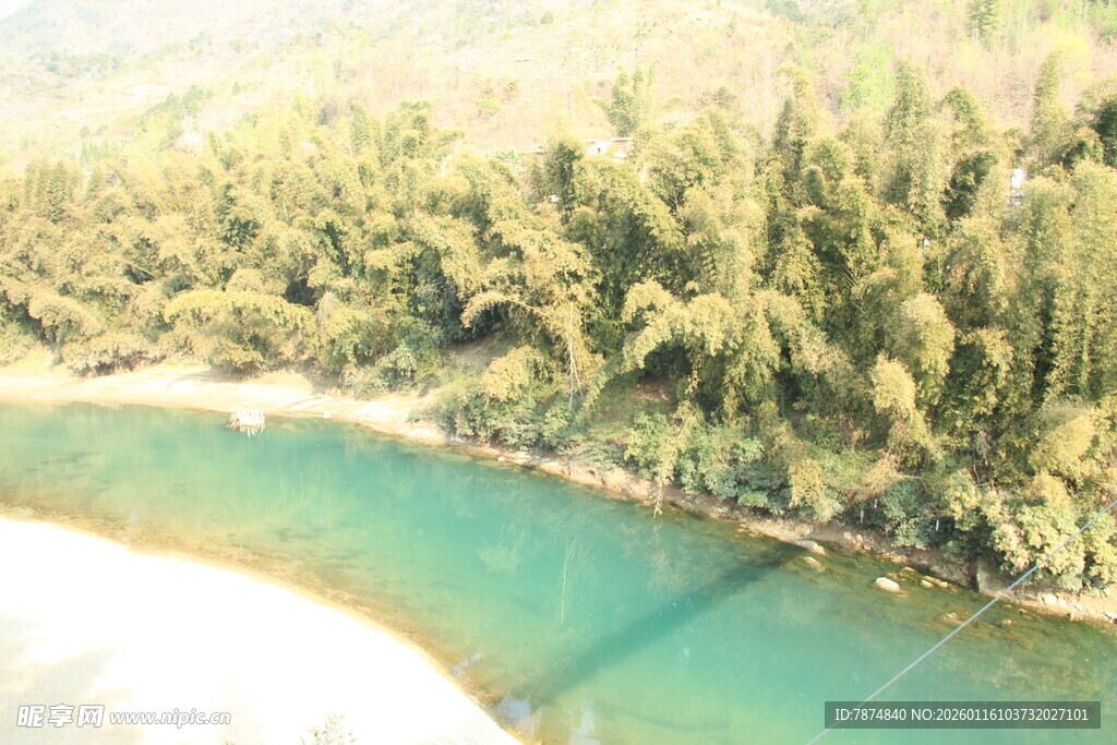 翠绿河畔的迷人自然景致