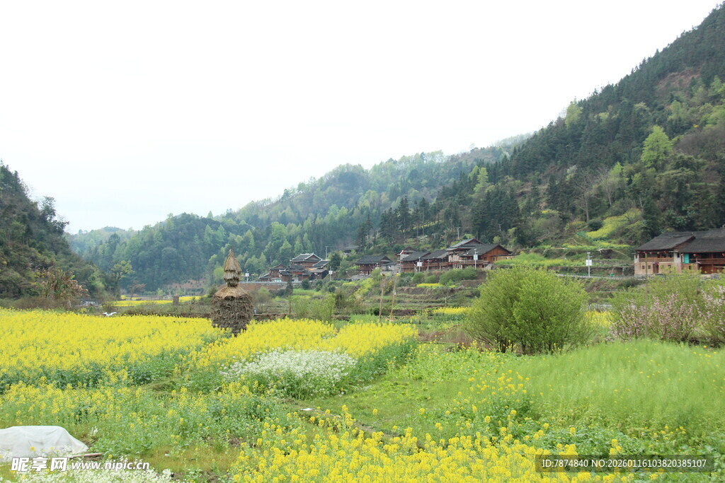 春日山间田园美景