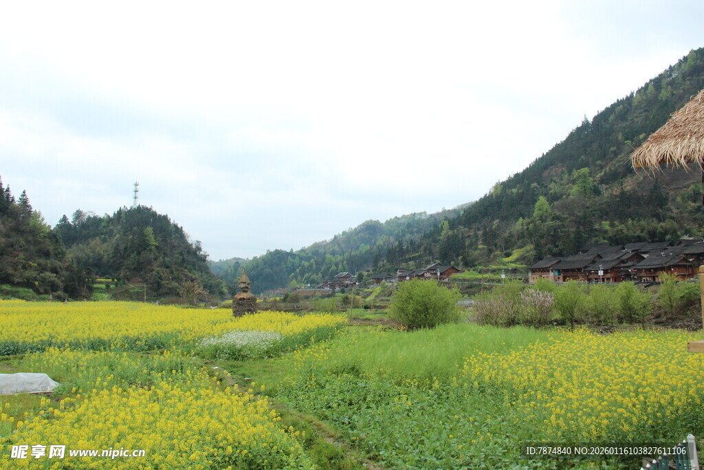 春日田野风光如画