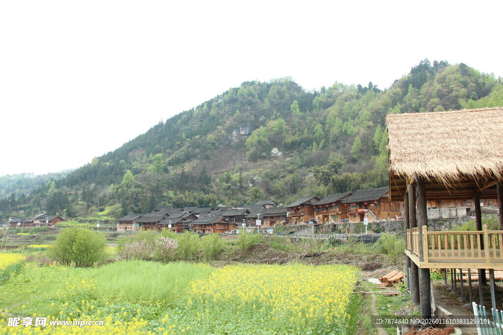田园山村风光 茅草屋美景