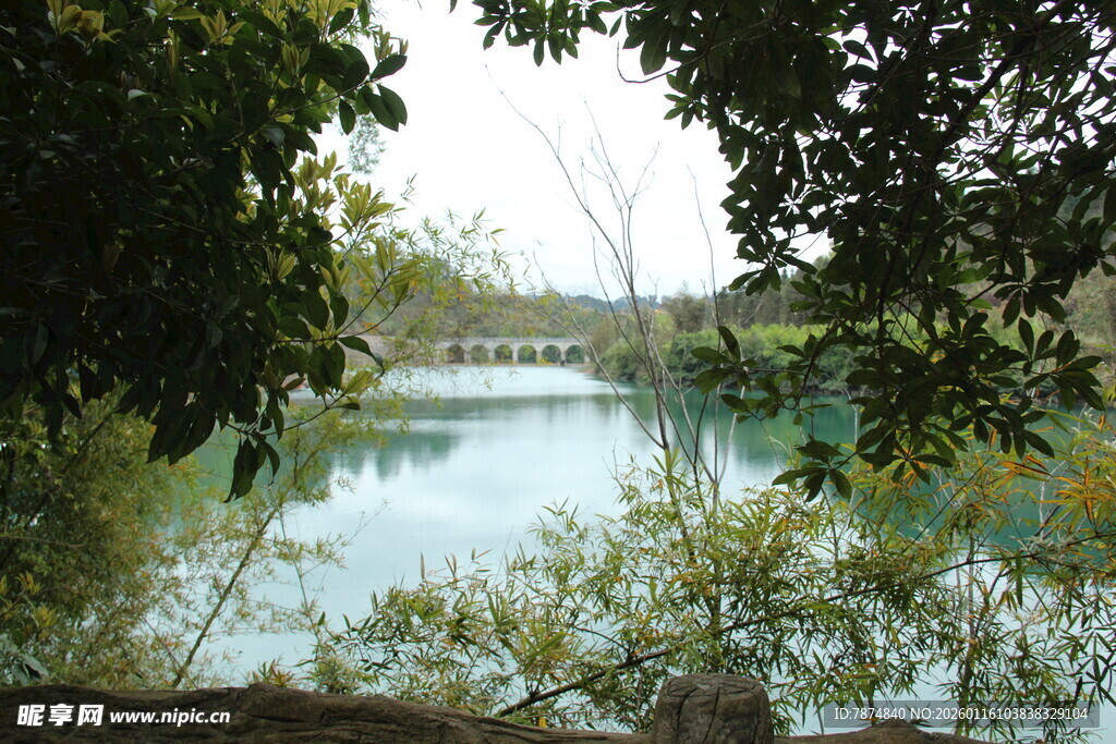 湖畔绿荫下的宁静美景