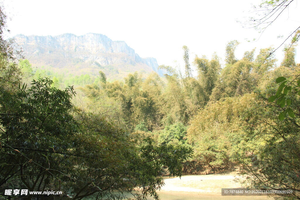 山林间的绿意景致