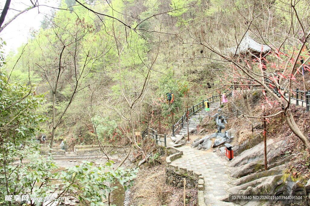 山间小径旁的繁茂树林