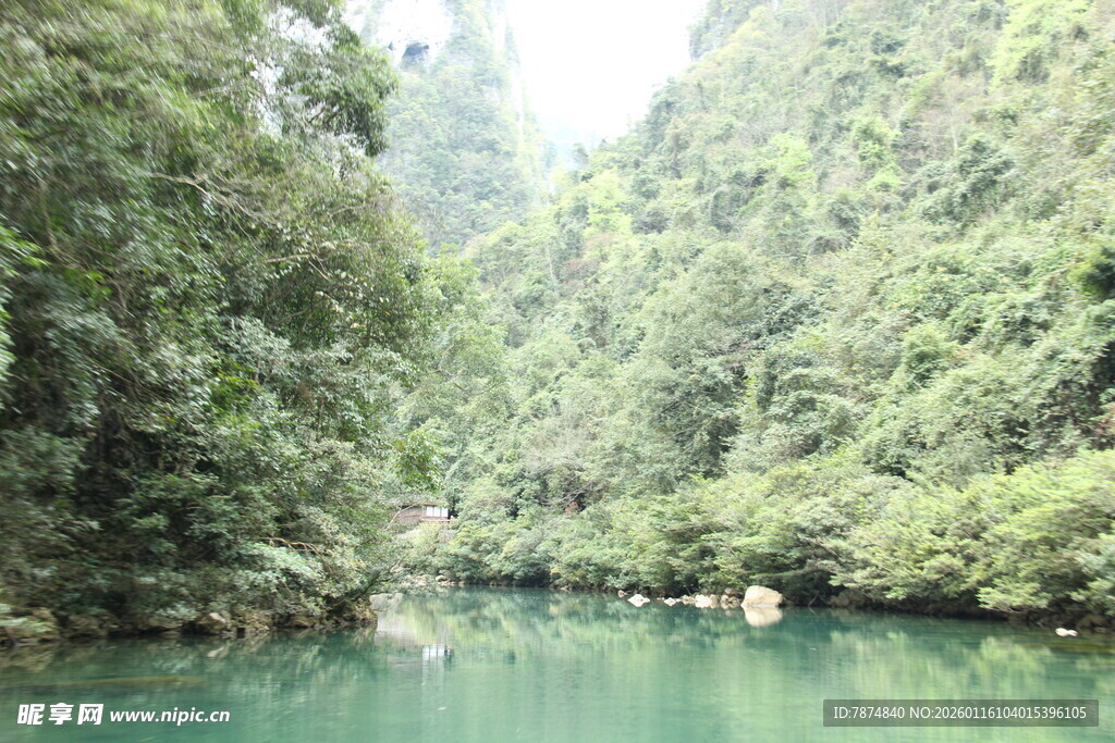 青山绿水间的清幽河谷